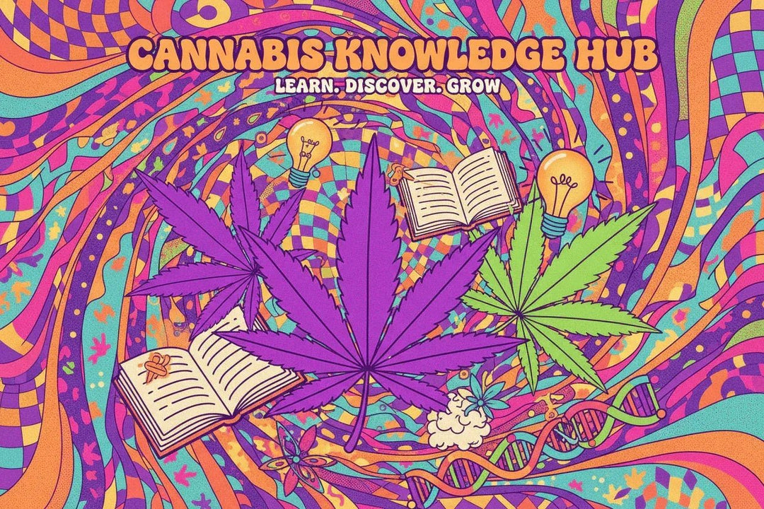 Psychedelic cannabis knowledge hub poster with colorful marijuana leaves, books, and light bulbs.