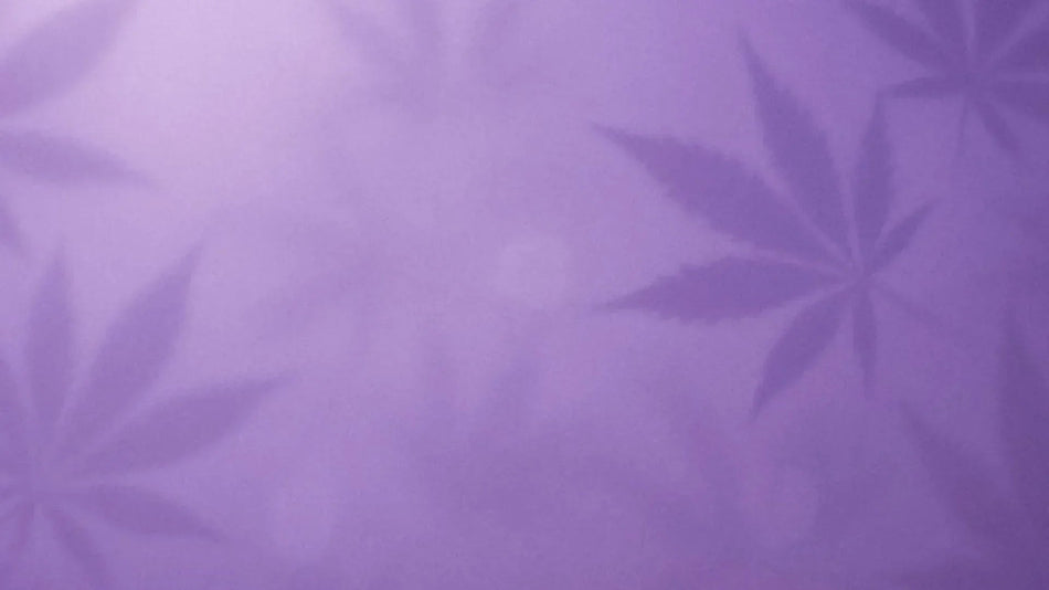 Purple fabric with cannabis leaf pattern